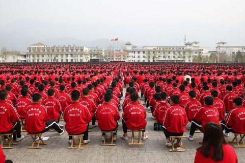 塔沟武校爆料案件最新,揭开校园暴力背后的真相